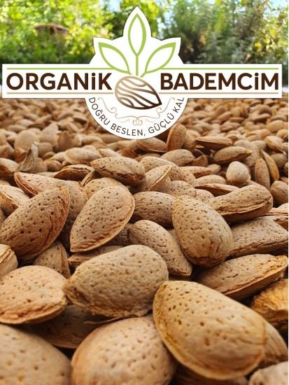 1 kg Yerli Kabuklu Organik Badem 2024 Hasat Duble Boy